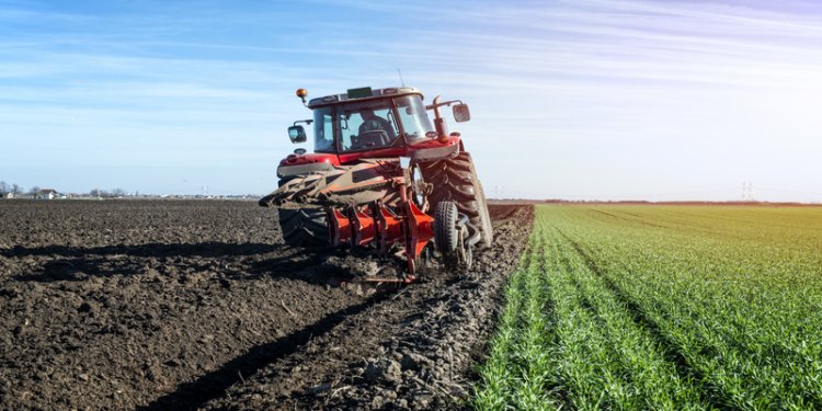Agriculture : reprise de la croissance de la valeur ajoutée de 5,1%