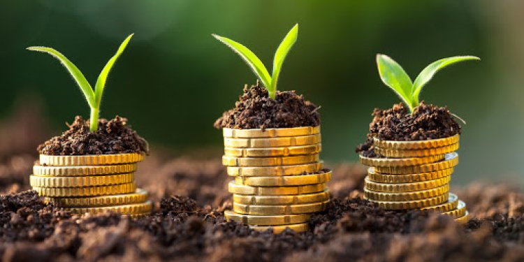 Finance verte : un levier décisif pour l’avenir de l’agroforesterie !