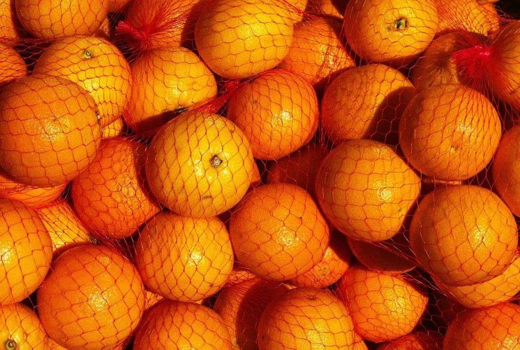 Le gouvernement octroie une prime à l’export des agrumes marocains