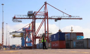 The Ministry of Industry tightens the screws on import regulations, manufacturers are divided
