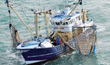 Pêche : hausse de la valeur des produits commercialisés à fin avril