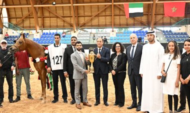 Rabat accueille l’édition 2025 de l’Emirates Arabian Horse Global Cup
