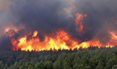 Forêts de Nador : un plan d’attaque anticipé contre les incendies estivaux