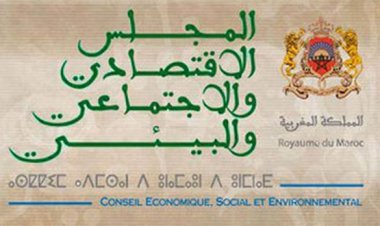 170e session du CESE : inclusion, vieillissement et rapport annuel à l’ordre du jour
