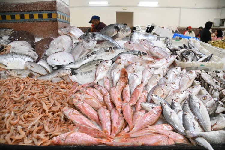 Produits de la mer : 34 millions de dirhams pour digitaliser les ventes aux enchères dans 45 marchés de gros