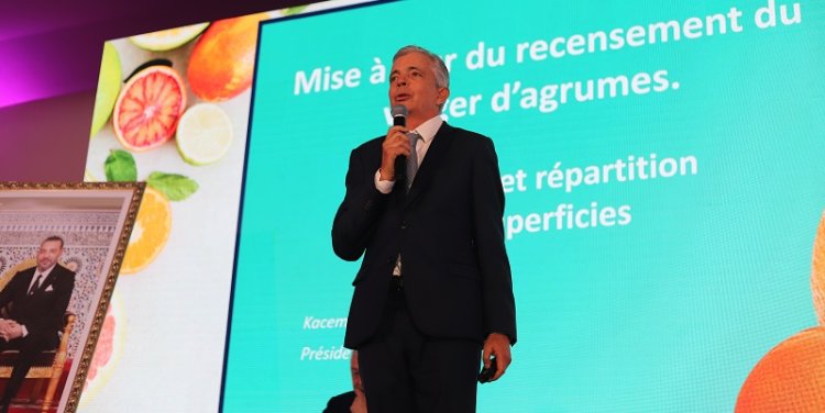 Agrumes : Les défis de la filière