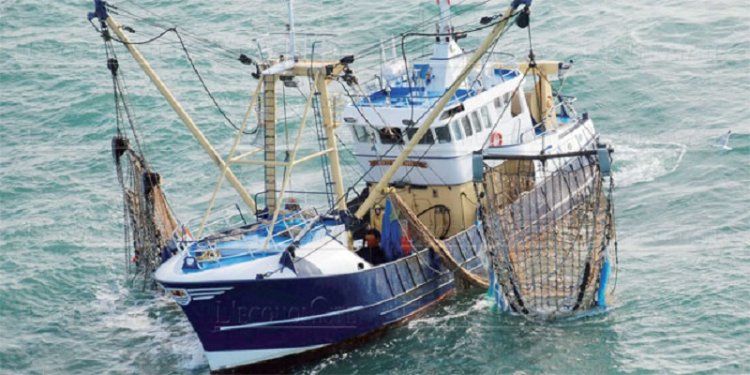 Pêche : hausse de la valeur des produits commercialisés à fin avril