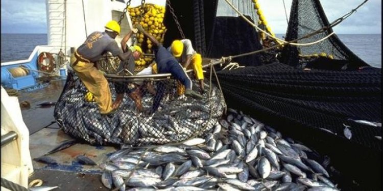 Ports méditerranéens : +5 % de débarquements de pêche à fin avril