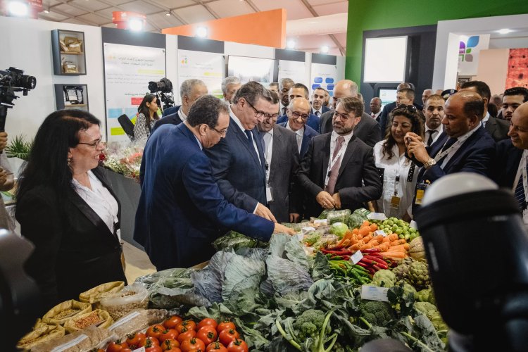 Comment l’agriculture familiale au Maroc a été freinée par les politiques publiques