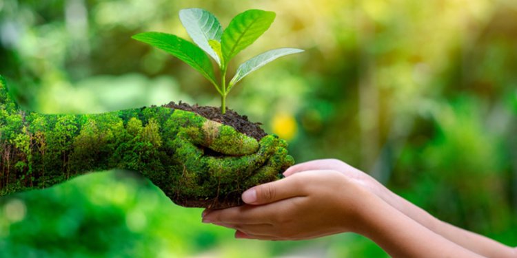 Économie verte : cap sur une Afrique résiliente et durable