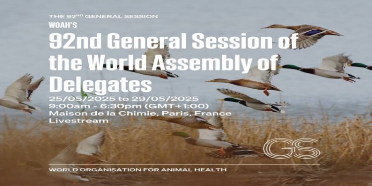 Assemblée mondiale de l’OMSA : Le Maroc réaffirme son engagement en faveur de la santé animale mondiale