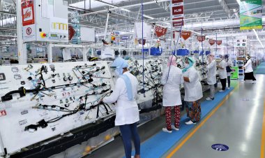 Industrie : BAM enregistre une hausse des ventes, malgré une stagnation de la production