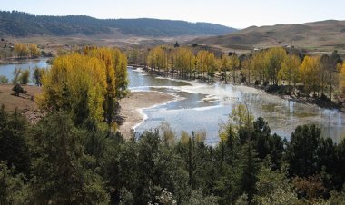 Tourisme durable : Des T.O néerlandais prospectent à Ifrane