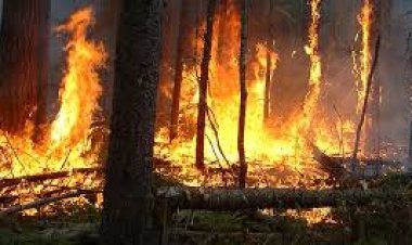 L’ANEF appelle à la vigilance face au risque d'incendies dans plusieurs régions
