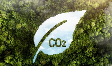 Dakhla : climat, énergie et neutralité carbone au cœur d’un atelier régional