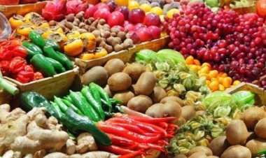 Espagne : Bon cru des importations de produits agricoles marocains au T1