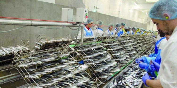 Conserve de poisson : La filière tire la sonnette d'alarme