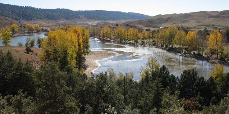 Tourisme durable : Des T.O néerlandais prospectent à Ifrane