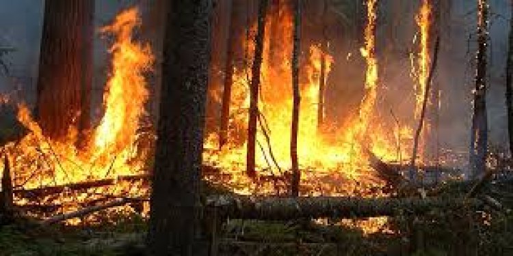 L’ANEF appelle à la vigilance face au risque d'incendies dans plusieurs régions
