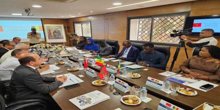 CCIS Fès-Meknès : vers un nouvel élan de coopération entre le Maroc et le Sénégal