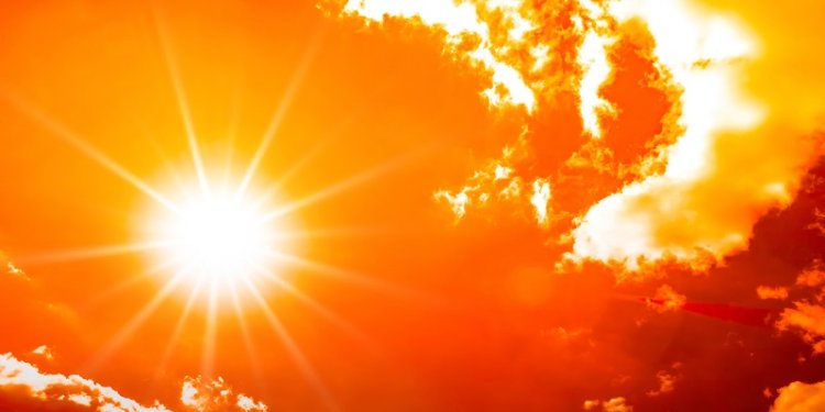Canicule : La France compte ses morts